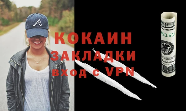 дживик Бородино