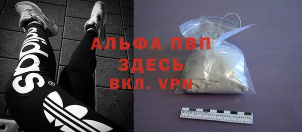 дживик Бородино