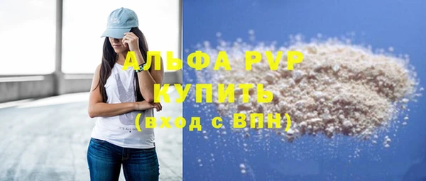 дживик Бородино