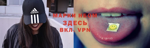 дживик Бородино