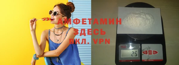дживик Бородино