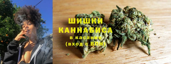 дживик Бородино