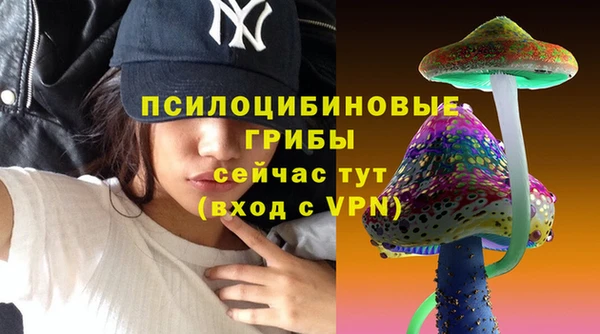 дживик Бородино