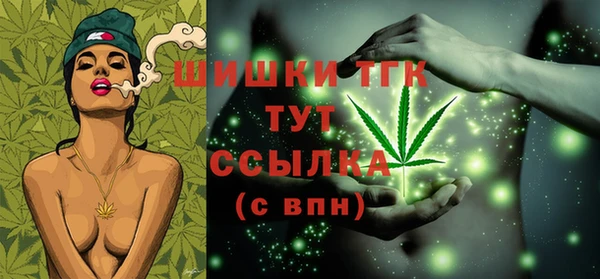 дживик Бородино