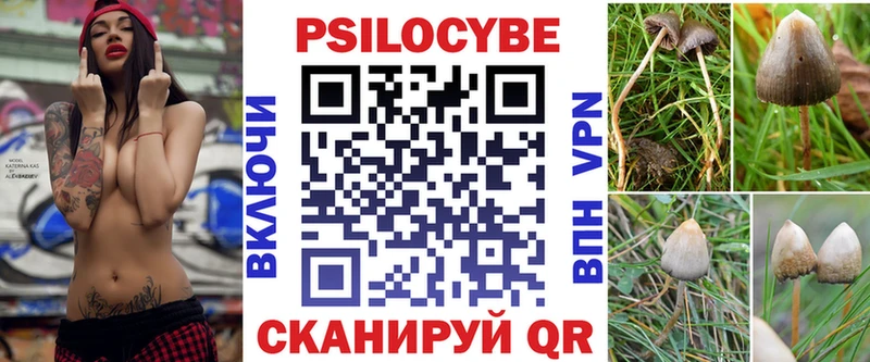 ссылка на мегу зеркало Щёлково Галлюциногенные грибы GOLDEN TEACHER